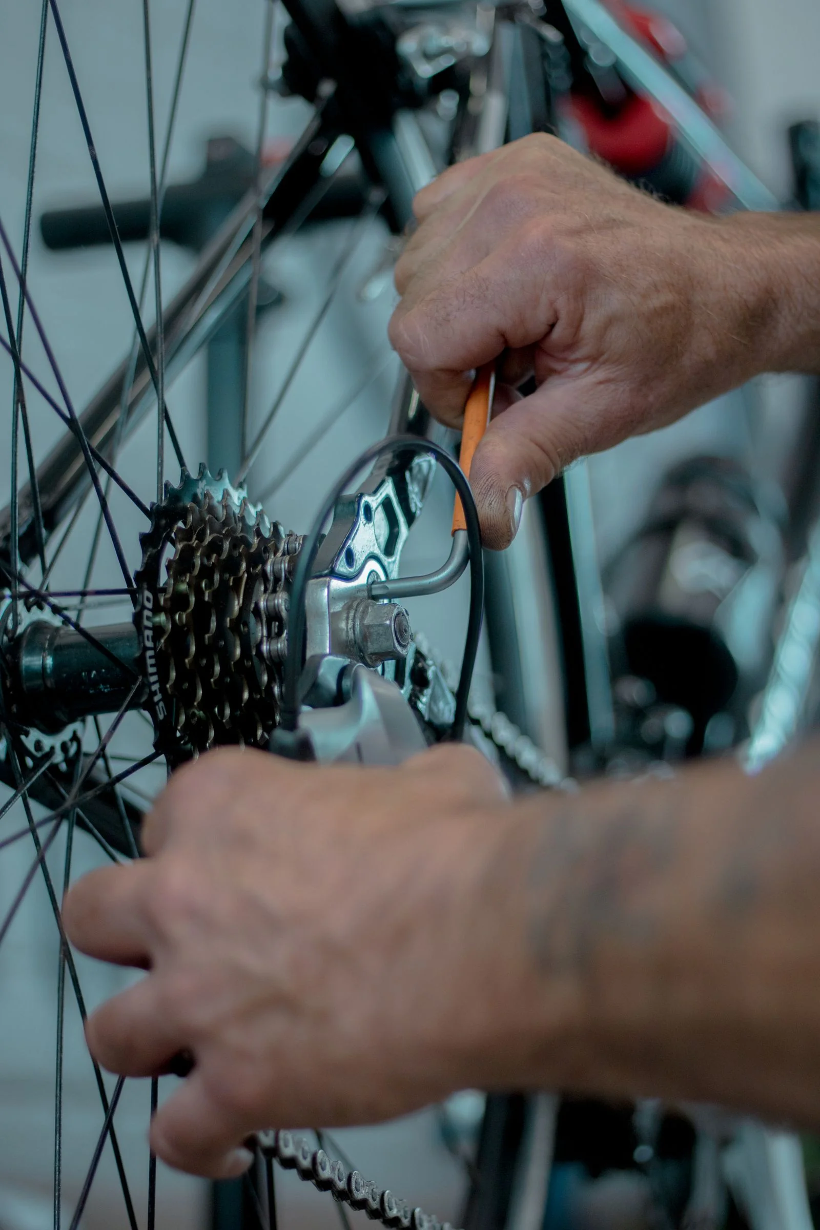 Bicycle being worked on in a workshop